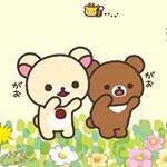 12599353_1025831170796409_1397009300_a