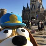 11191158_1653703091579175_1129342426_a