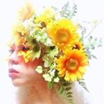 12139570_1516266005355610_1942034685_a