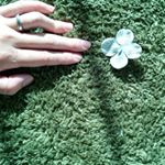 12230775_1142802202416348_688672249_a