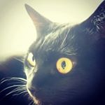 12547463_179059375784046_1573566837_a