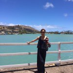 12501994_199915500356047_929115260_a