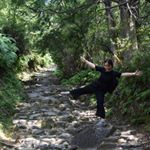 12501461_1022835144430044_1237198844_a