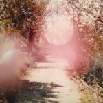 11420755_1476785372615752_1813560447_a