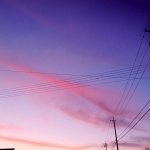 11312313_856858061061240_1509318302_a