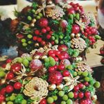 12256894_1692162567672431_1743536962_a