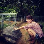 12558705_919581164824878_1538627798_a