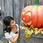 12558333_521595721346840_87694120_a