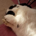 12558660_1674632476149955_2000772378_a