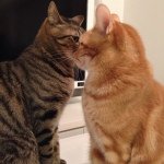 11856648_765698096886974_1677278527_a