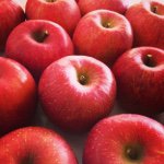 10808783_1512502632344418_725970028_a