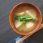 11363904_1082222808468145_1325494265_a