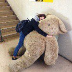 10932072_344320232439425_307777621_a