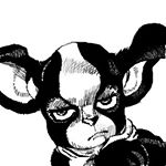 11910051_173026186362444_1053005947_a