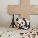 10735095_1613396862253641_104243810_a