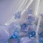 12547608_1569459583377689_1339515677_a