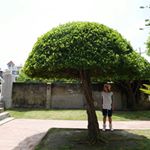 12070996_728231763973919_832923499_a