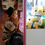 12120240_1489686261359448_697187530_a