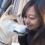 12568869_485750378298970_1914622916_a