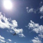 12356482_772143756223820_1828163904_a