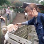 12132876_483253238519470_328266845_a