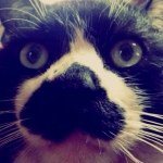 11910132_771906222932043_538430550_a