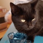 11848837_834410330000086_1376110824_a