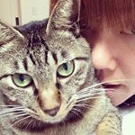 12107545_1509518219370046_1734455762_a