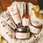 12298785_995056920561817_816408509_a