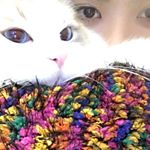 12552385_1675966646021269_1849130431_a