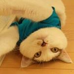 12081032_148207655534329_1672028668_a