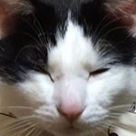 12568969_592884524197183_258132399_a