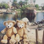 12142491_741402909298301_2016252220_a