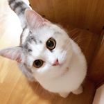 12751101_1669283993322825_1981455531_a