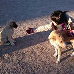 12338886_1061355350576586_1715102742_a