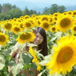 11372436_1504816629808597_2022590178_a