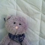 11374066_880913075311958_1395420739_a