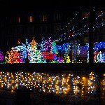 1742658_755209261236419_1641407656_a