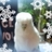 Icon13270534963249_normal