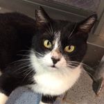 918245_148206978883060_2097227177_a