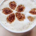 12677444_216083025403239_1848650373_a