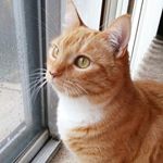 12547248_499947353518509_1071050766_a