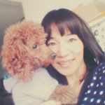 11420879_429603380577211_1020578183_a