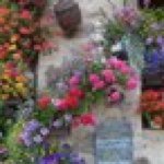 11849181_1620644314864919_1744779426_a