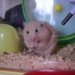 12301258_726349020829513_1378360201_a