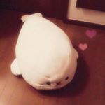 12547114_1540171472978188_252713315_a