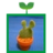 Twitter_icon_normal
