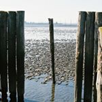 12749804_519693894878871_328717324_a