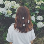 11809942_1664612193752589_802513302_a