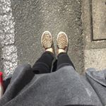 11364024_509573165877818_1829254046_a